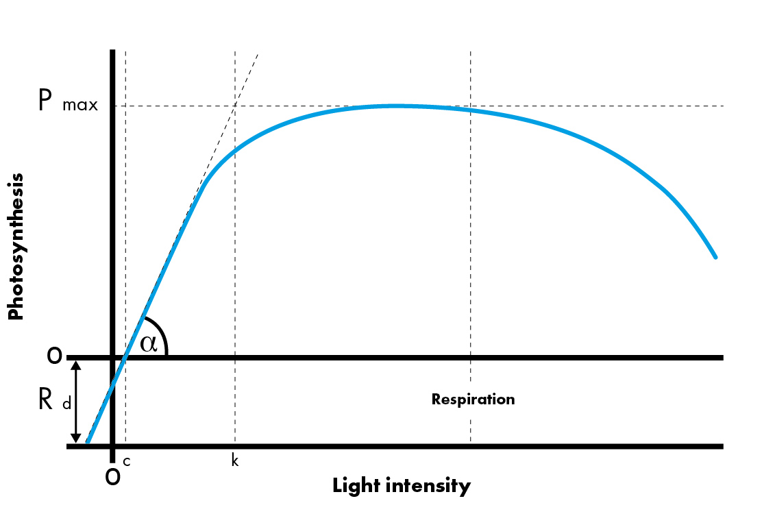 Please Stop Splitting Things